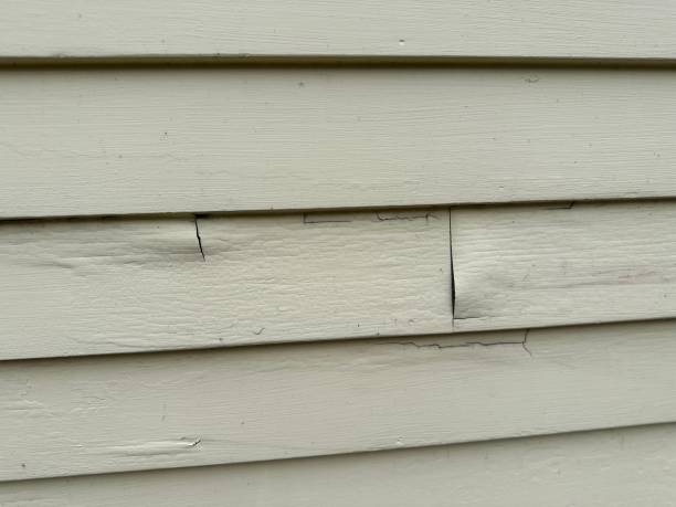 Professional Siding in The Pinehills, MA